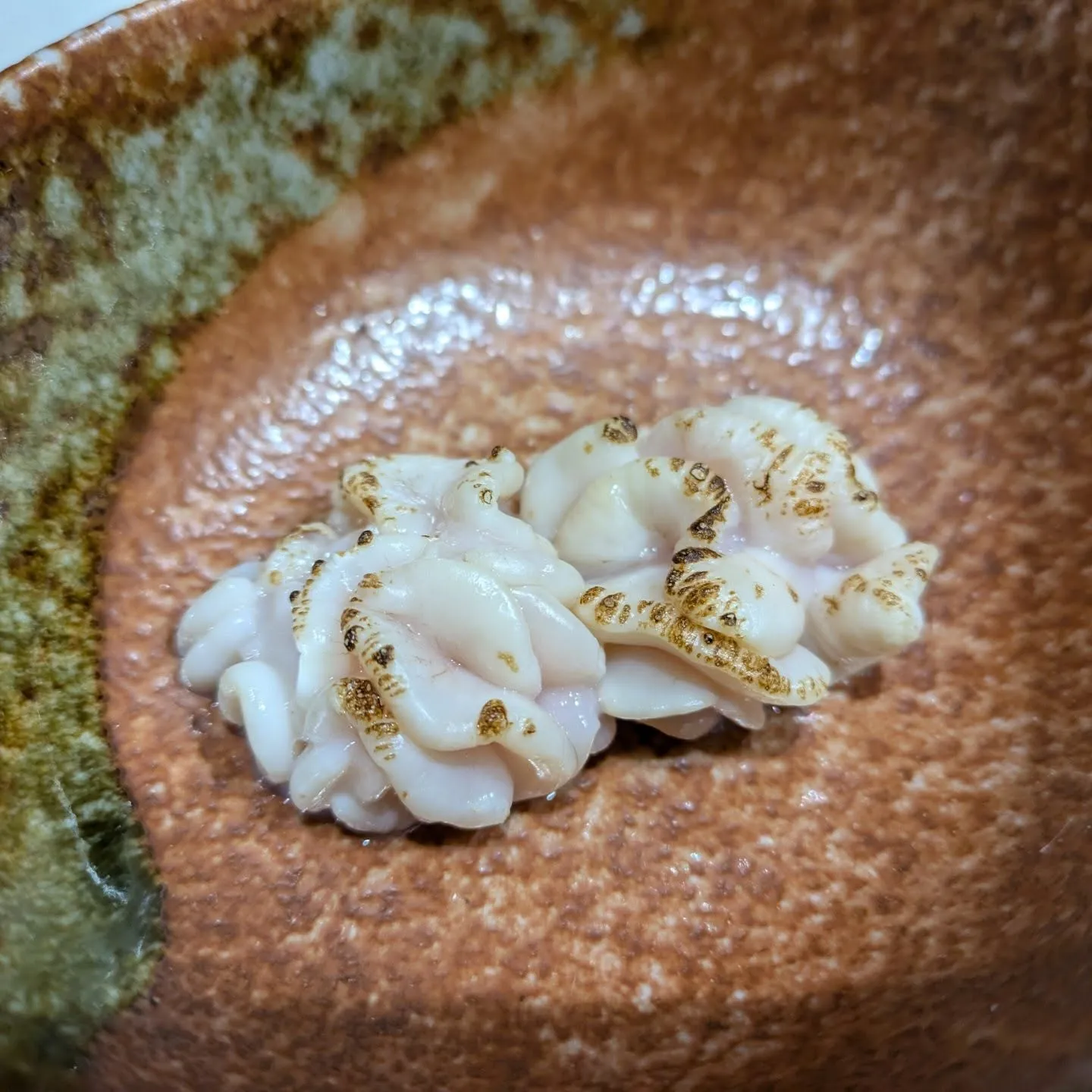 冬の味覚、雲子は、タラの白子です。