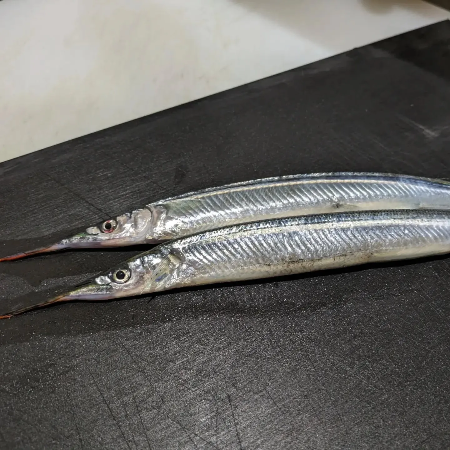 針魚(サヨリ)の入荷が始まると春の訪れもすぐそこという感じが...