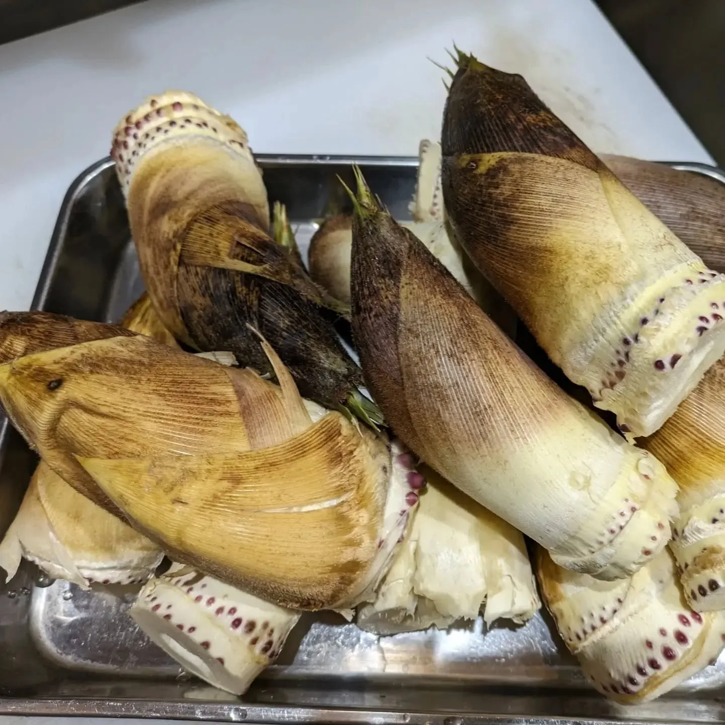 春の訪れを感じる筍の季節がやってきました。