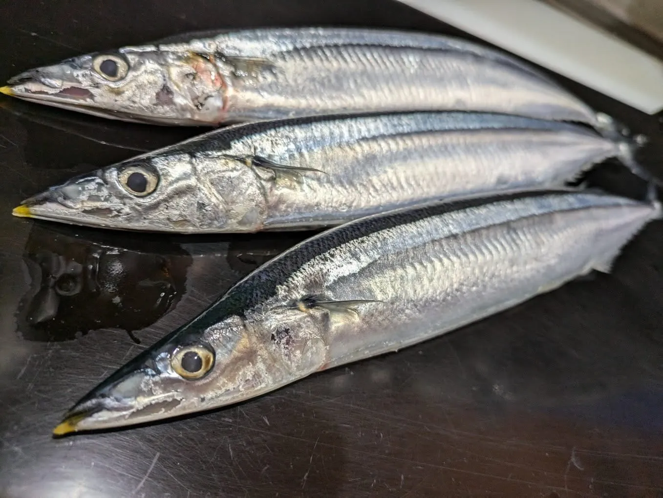 10月の休業日のお知らせです。