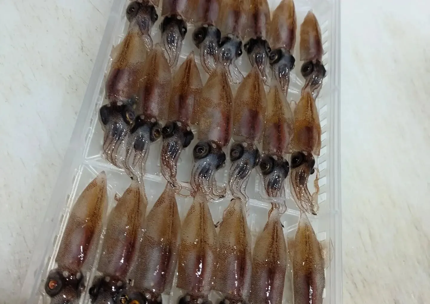 春の訪れが少しずつ感じられる今日この頃、皆さまいかがお過ごし...