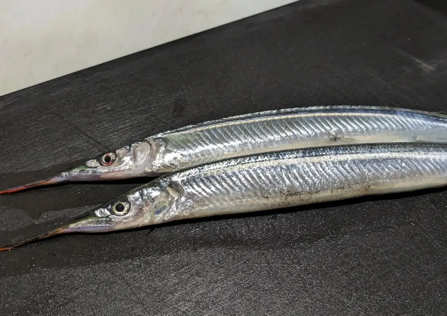 春の訪れが少しずつ感じられる今日この頃、皆さまいかがお過ごし...