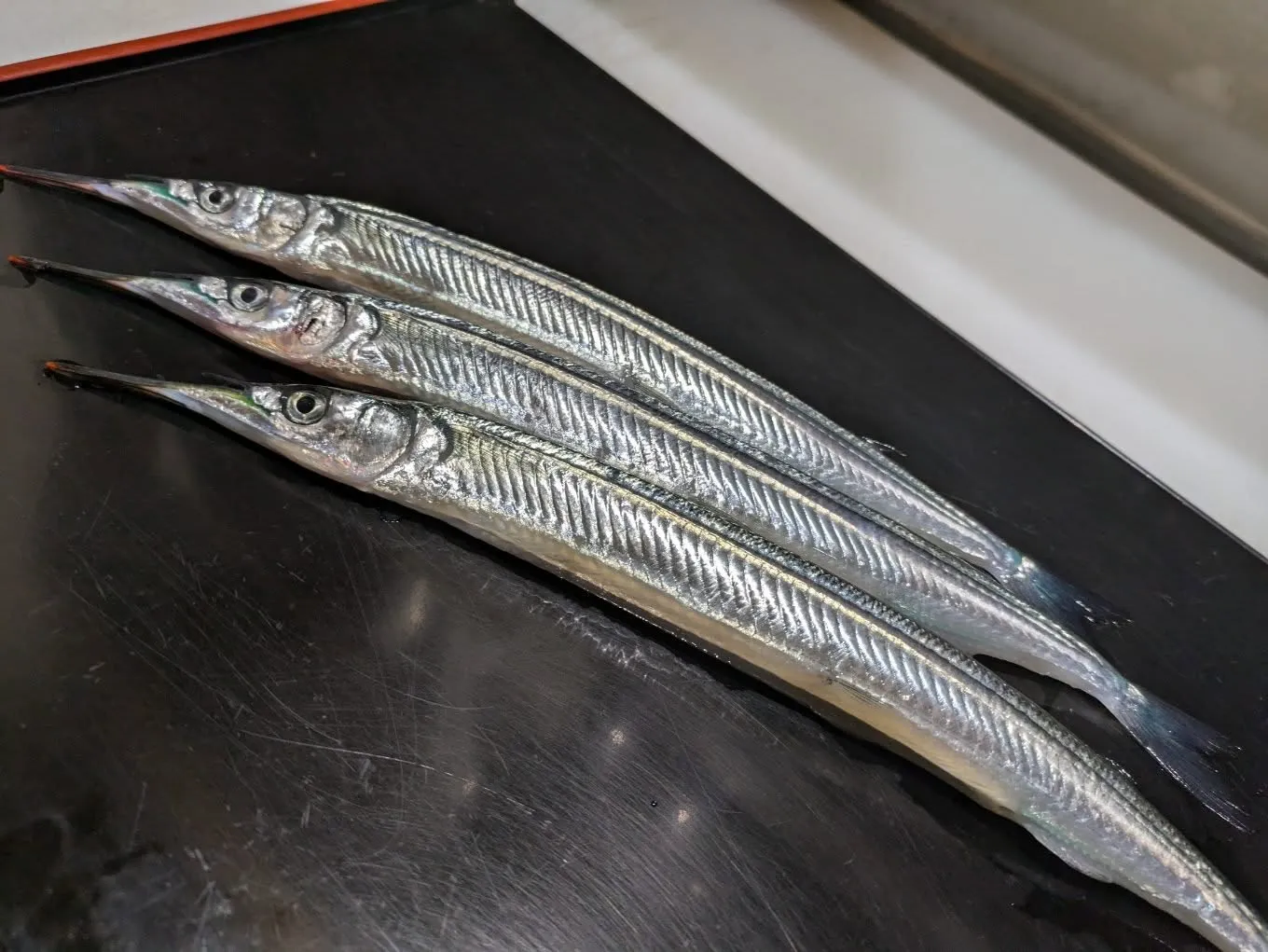 桜咲く4月の休業日のお知らせです。