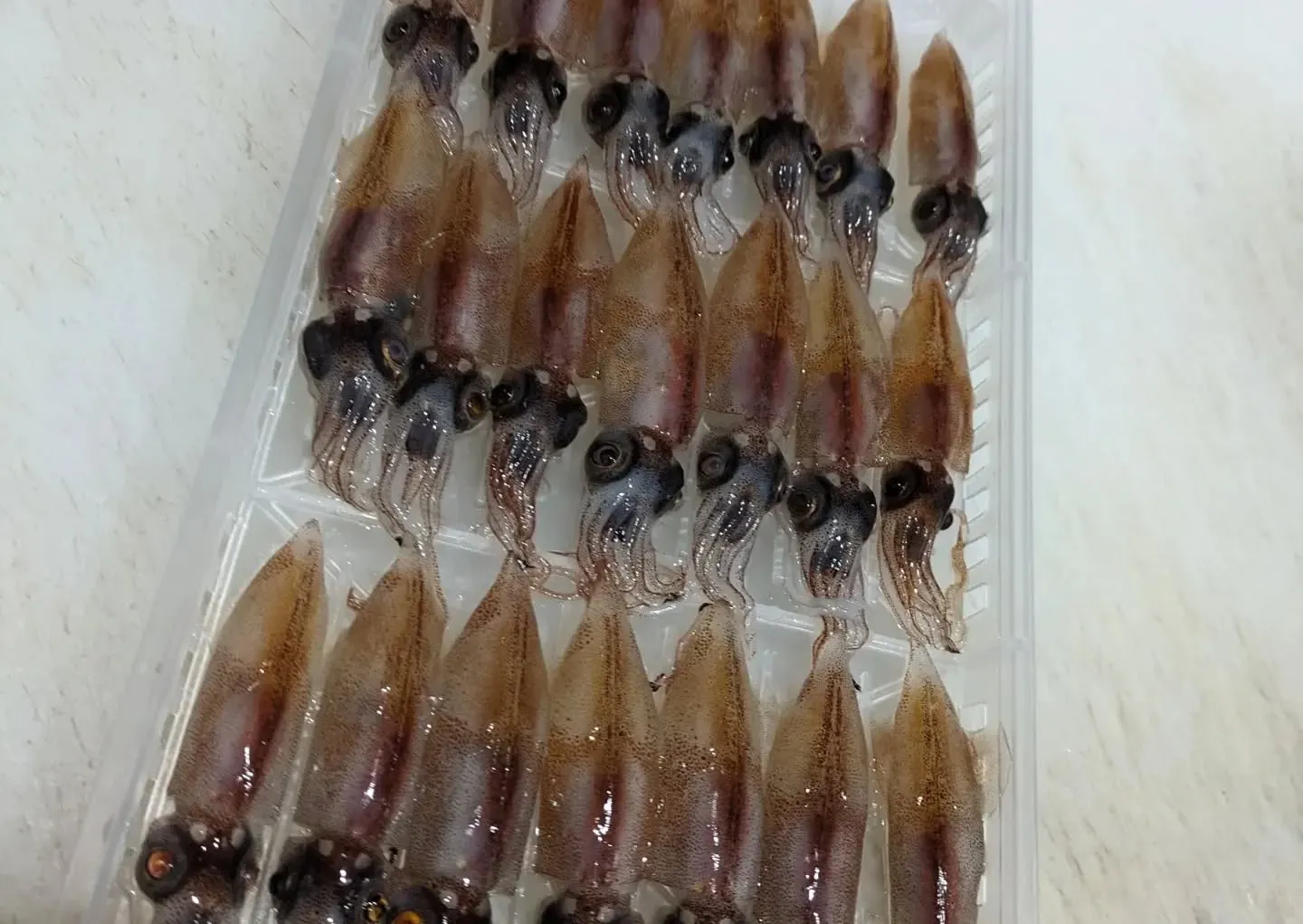 桜咲く4月の休業日のお知らせです。