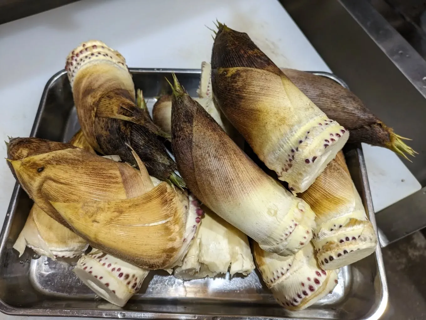 桜咲く4月の休業日のお知らせです。