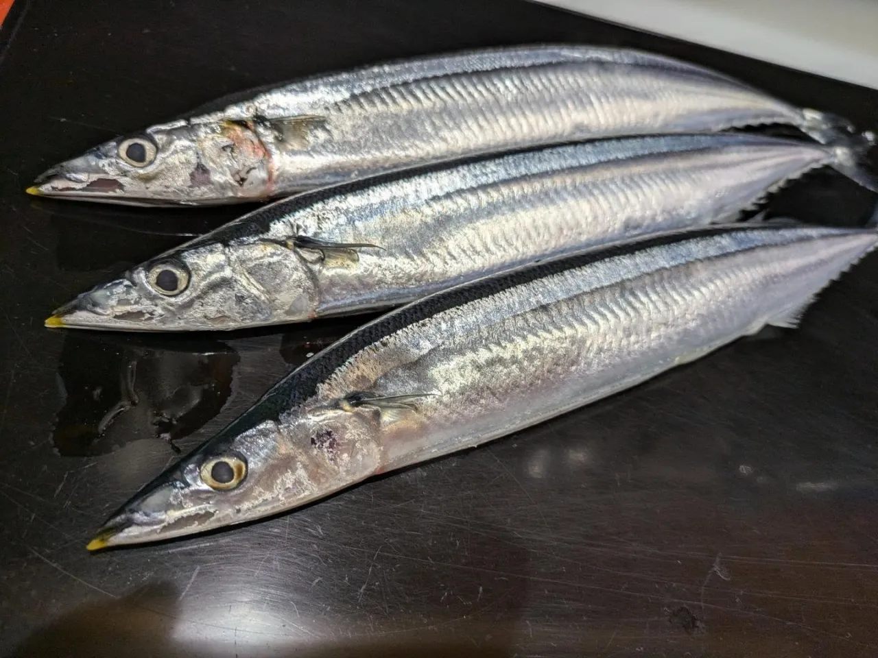 秋も深まり、心地よい涼しさが感じられる季節となりましたところ...